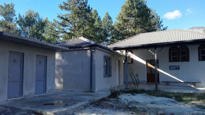 Γιορτή Αγίου Αθανασίου